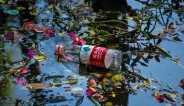 Sustainability in Fashion: Victim of Convenience?