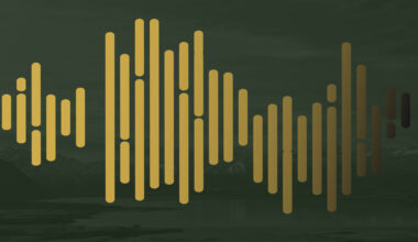 Podcast: Transparency In Action
