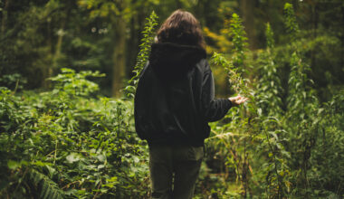 PTC and Made2Flow Collaborate to Support Fashion and Retail Sustainability Initiatives