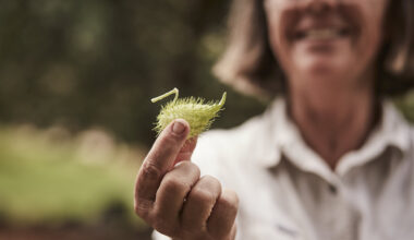 Woolmark Unveils Woolmark+: A New Roadmap To Accelerate The Wool Industry Towards Nature Positive
