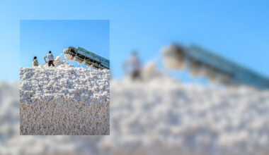 Beyond The Faceless Supply Chain: Understanding The Footprint Of Cotton Through Technology